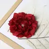 Flores artificiales al por mayor para pasillo de boda, decoración de pared floral, accesorios para faroles DIY, accesorios de flores de seda, cabeza de flor de peonía.