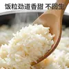 Arroz do Nordeste, Nova Safra, 500g, Aromático, Macio e Soltinho, Proveniente de Terra Negra, Moído na Hora, Integral, Rico em Aroma, Atacado