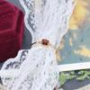 Huang Jin Joias Estilo Coreano Simples Moda Elegante Versátil Pedra Vermelha Natural Anel Novo Banhado a Prata 925 Esterlina Ouro 14K