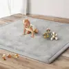 Esteras Tatami Japonesas Transfronterizas, Alfombras Gruesas para Sala de Estar, Ventanas de Bahía Reclinables, Alfombras para Dormir en el Piso del Dormitorio, Alfombras Anticaídas