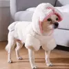 Ropa para Perros, Chaquetas Cálidas de Forro Polar para Otoño e Invierno, Ropa para Gatos, Perros Pequeños y Medianos Teddy Bichón, Venta Directa