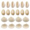 100g concha natural de furo único 12mm-16mm dente de concha perfurado galvanizado acessórios para sapatos chapéu de molusco