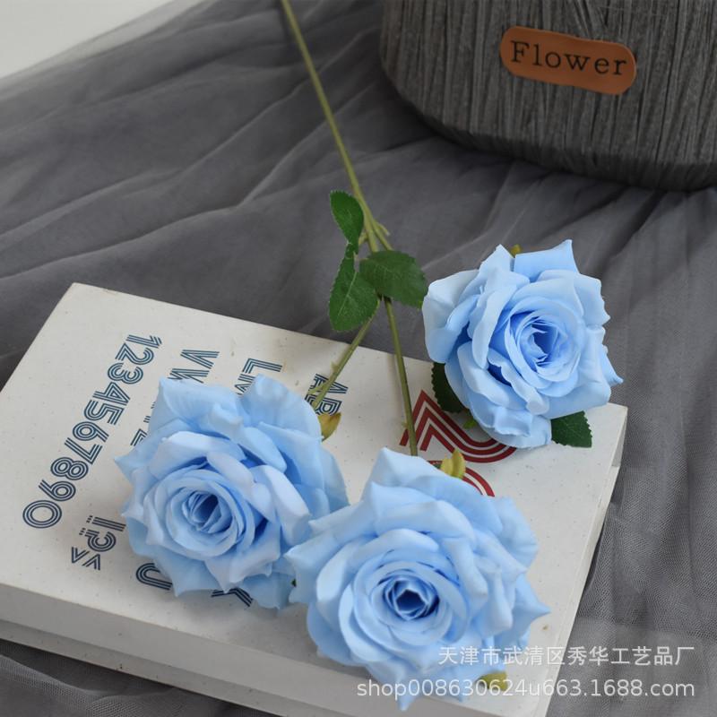 卷边玫瑰浅蓝色