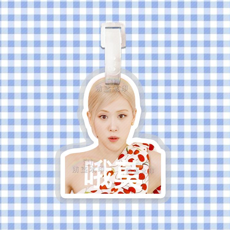 朴彩英Z09
