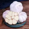 Venda Direta de Alho Roxo Cultivado na Fazenda de Shandong, do Local de Origem, de Dentes de Alho a Cabeças de Alho Inteiras, Atacado Shandong Wangxin, Outros