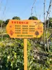 Etiquetas para Plantas de Jardín de Madera Maciza, Señales de Suelo de Madera, Señales Indicadoras para Exteriores, Señales de Aviso para Huertos Escolares de Jardín de Infancia