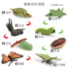 Juguete de decoración de plantas, animales, ciclo de crecimiento, mariposa, mosquito, hormiga, abeja, mantis, simulación transfronteriza para niños, cognitivo
