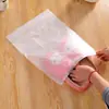 Bolsa de Almacenamiento para Viaje, Ropa Interior, Zapatos, Equipaje Impermeable, Bolsa Sellada para Empacar y Organizar, Bolsa con Cierre Ziplock Translúcida
