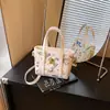 Bolsa de Mão de Marca Estrangeira de Nicho para Mulheres 2026 Nova Moda Tendência Estampada Bolsa Transversal de Ombro Versátil Bolsa Saco para o Dia a Dia