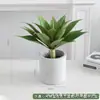 Simulação Planta Verde Bonsai Sisal Folha Grande Gladíolo Planta do Deserto Tropical Janela Paisagismo Decoração Planta Artificial Ponto