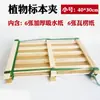 Soporte de Espectros de Plantas Juego Completo de Papel Absorbente Cartón Corrugado Tira de Madera Soporte para Hojas Herramienta para Flores Instrumento de Enseñanza de la Naturaleza Biológica