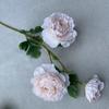 3 Cabezas de Flores de Camelia Artificial al Por Mayor, Loto, Peonía, Flores Falsas Decorativas Nórdicas, Flores de Camelia Biónicas