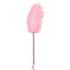 Juguetes Sexuales Sexy para Adultos Vibrador Pequeño Accesorios de Encaje Pezoneras Pasties Cama Coqueteo Antifaz Juguetes Raqueta de Plumas Colección