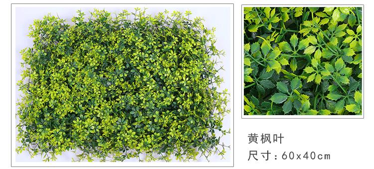 绿植墙
