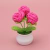 Planta transfronteiriça pequeno vaso de lã crochê feito à mão simulação multi-cabeça rosa decoração fofa decoração de quarto de mesa