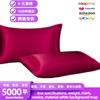 Funda de almohada Funda de almohada de satén Funda de almohada tipo sobre Almohada americana Venta al por mayor Comercio exterior Transfronterizo Moderno Minimalista
