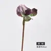 Orquídea de Bolso Flor Artificial Planta Única de Interior em Vaso Ornamentos Decorativos Acessórios de Buquê de Alta Gama Fotografia de Casamento Orquídea de Bolso Simulada