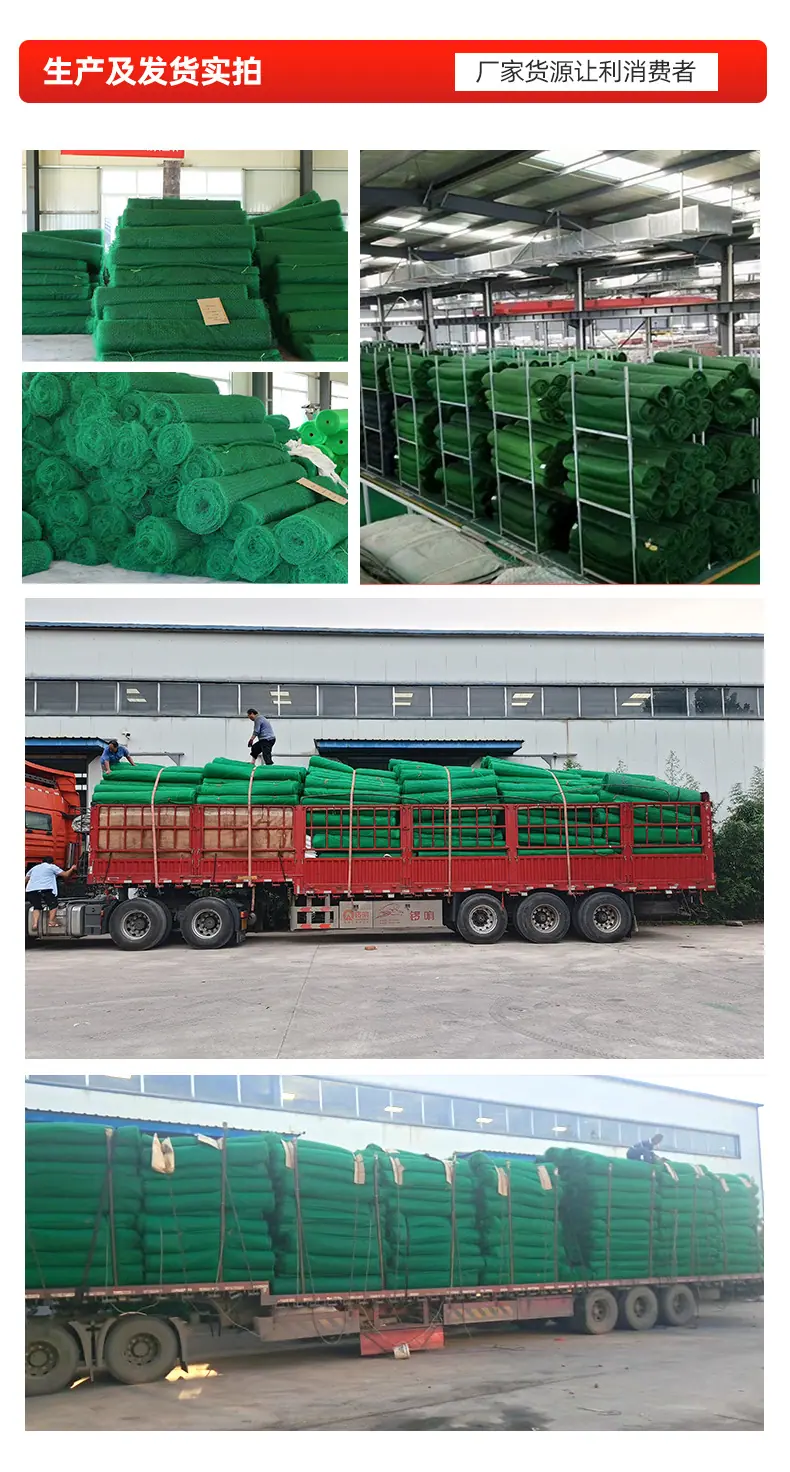 5三维植被网1_10.jpg