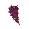Broche de Pluma con Incrustaciones de Diamantes Púrpura de Industria Pesada Europea y Americana para Mujer, Lujo Ligero de Alta Gama, Hojas, Corsage de Alta Gama, Accesorios para Traje y Vestido