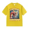 Camisetas Divertidas para Hombre con Meme de Gato Trippi Troppi del Cerebro Podrido Italiano