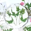 Gaozhen Navio a Vela Flores Secas em Relevo Flores Secas Atacado Cola Capa de Celular Porta-Retrato Artesanal Marcador de Página Adesivos de Folhas Flores Secas