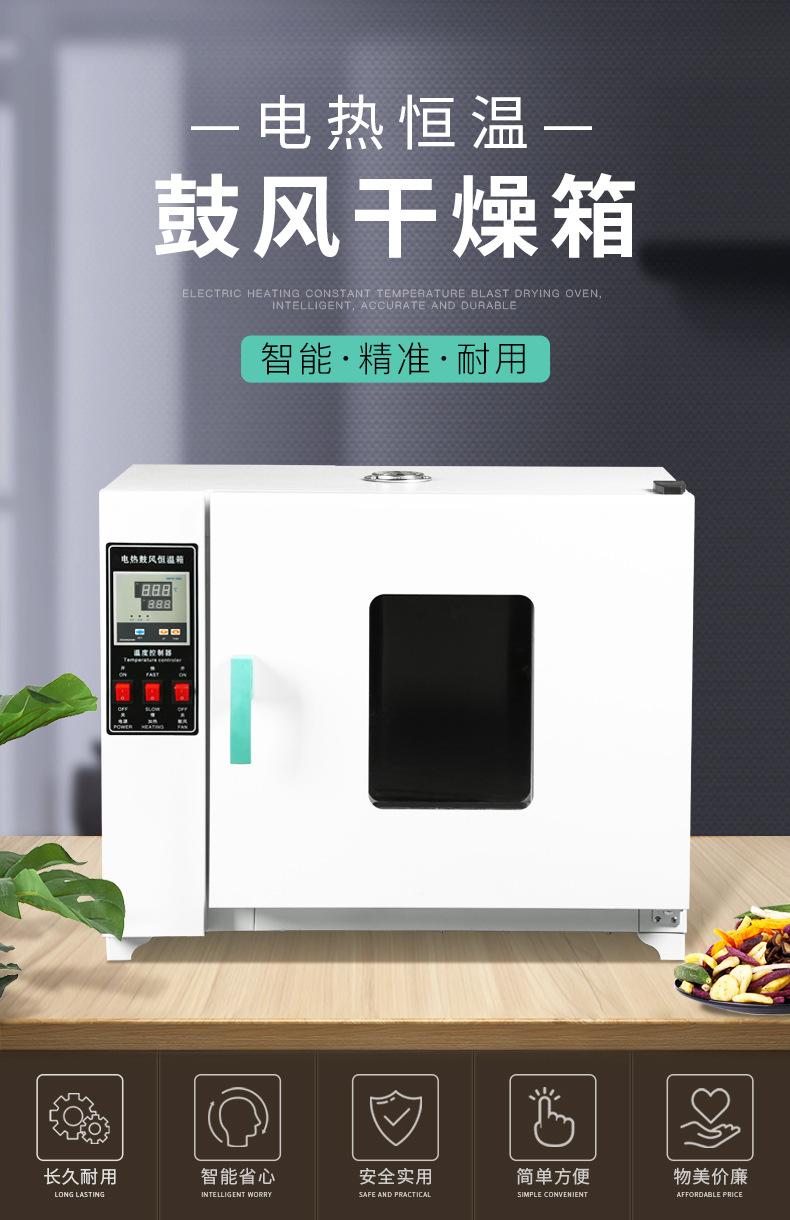 101A系列电热鼓风干燥箱 790_01