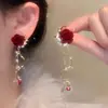 Brincos de Argola com Franjas Levemente Luxuosos e de Alta Qualidade para Mulheres Sem Furos na Orelha, Brincos Únicos e Deslumbrantes, Brincos Longos Super Bonitos para Outono e Inverno