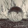 Bola de luz de cristal de 6-100 mm, suministro de fábrica, accesorios para animales pequeños, decoración, bola sólida de Feng Shui, accesorios de tiro de oficina