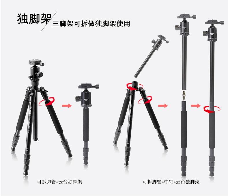 M2508 (3).jpg