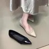Sapatos de Salto Baixo Apontados com Temperamento Brisa Noturna Francesa Femininos 2026 Outono Novo Estilo Coreano Retro Slip-on Casuais para Dirigir