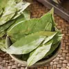 Hojas de Laurel, Nuevos Productos Nacionales, Hojas de Laurel Importadas, Especias para Venta al por Mayor Comercial, Productos Secos, Condimentos Frescos, Venta al por Mayor de Especias