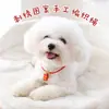 Collar de Año Nuevo para Mascotas Collar para Perro y Gato Tejido a Mano con Cascabel Cuerda Roja Seguro y Festivo Accesorios de Collar de Año Nuevo