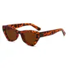 Gafas de sol retro triangulares ojo de gato europeas y americanas para mujer, de moda estilo coreano, gafas de sol populares en línea para disco, para chica hot, para fotos callejeras, hip hop