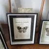 Specimen de Mariposa Marco de Fotos de Mariposa Hueco 3cm Hecho a Mano diy Planta Flor Inmortal Vidrio Real Marco de Exhibición de Insectos