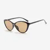 2026 Nueva Tendencia de Moda Retro Cuadrado Ojo de Gato Gafas de Sol de Alta Gama Protección Solar Protección UV Yt122