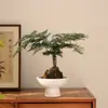 Maceta de cerámica minimalista estilo japonés, adorno de escritorio de alta gama, bola de musgo de bambú, recipiente especial de pie alto para arreglos florales