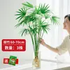 Bambú Dorado Hidropónico Planta en Maceta de Interior para Sala de Estar, Oficina y Decoración del Hogar, Vegetación de Escritorio Fácil de Cuidar