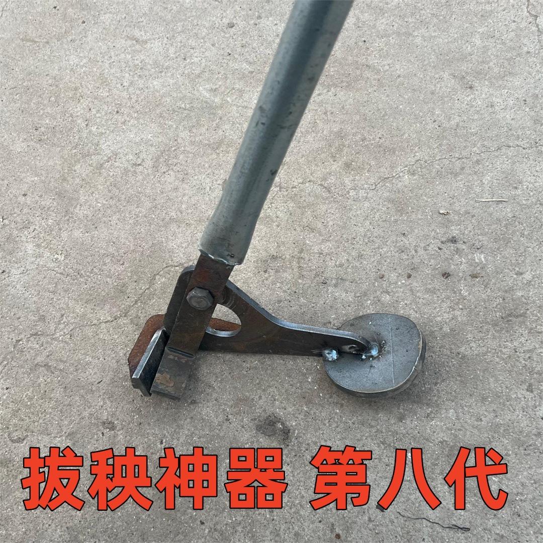 微信图片_20240326193307_副本