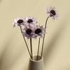 Arte de Crisantemo Holandés Hecho a Mano Materiales de Flores Secas, Plantas, Flores Artificiales Eternas, Artículos Decorativos, Accesorios para Fotos, Flores al por Mayor