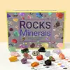 Caja Misteriosa de Piedra Cruda de Cristal Natural Navideña Piedra de Cristal Poke-a-Dot Agujero-a-Agujero Infantil Regalo Calendario de 24 Compartimentos Transfronterizo