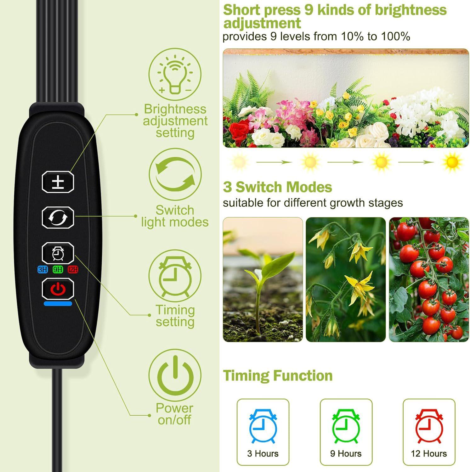 81i1K17tRvL._AC_SL1500_