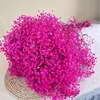 Gipsofila Flor Eterna Ramo de Flores Secas Venta Directa de Fábrica de Yunnan Gipsofila Flor Eterna Hecho a Mano DIY Flores al por Mayor