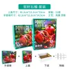 Granada de Semilla Suave Caja de Regalo Universal Caja de Embalaje Estampado en Caliente Tunecina Caja de Regalo de Fruta de Alta Gama 6 Piezas 8 Piezas 9 Piezas Cartón Vacío