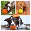Bola de Brinquedo Laino para Cães e Gatos, Bola de Borracha Fofa que Faz Som, Bola Dispensadora de Petiscos, Coleira Brinquedo para Cães Médios e Grandes