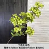 Plantas Verdes Artificiais, Flores Artificiais Verdes, Decoração de Cena de Casamento, Decorações Falsas, Plantas, Árvores, Nandina, Arranjos de Casamento