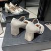 Sapatos de Salto Alto Mary Jane Estilo Retrô Francês para Mulheres 2025 Nova Coleção Primavera Tiras com Fivela de Uma Linha Sapatos Versáteis Elegantes de Salto Grosso