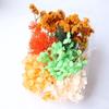 , Kit de Materiales DIY de Flores Preservadas y Secas, Abanico Creativo Hecho a Mano para el Día del Maestro, Servicio de Entrega de Regalos para el Día del Maestro