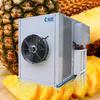 Jinkai Bomba de Calor de Frutas Equipo Secador de Energía Aérea Alta Eficiencia