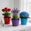 Cubo Metálico Mediano, Maceta de Lata Colorida, Cubo de Almacenamiento para Decoración de Escritorio en Casa, Maceta Creativa para Plantas Verdes y Suculentas