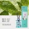 Aromaterapia Sem Fogo Doméstica Óleo Essencial Fragrância Premium de Longa Duração Banheiro Hotel Ornamentos de Fragrância Casa Planta Rattan Perfume